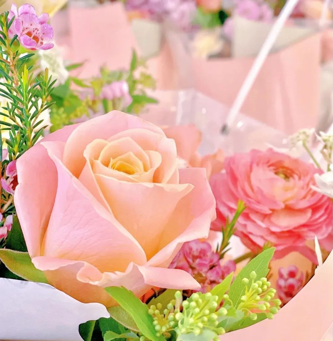 0?wx_fmt=jpeg&amp;from=appmsg