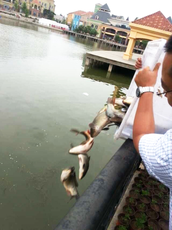 J9.COM·(中国集团)官方网站