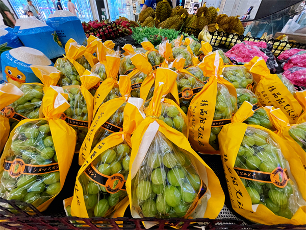 J9.COM·(中国集团)官方网站