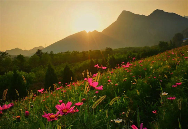 J9.COM·(中国集团)官方网站