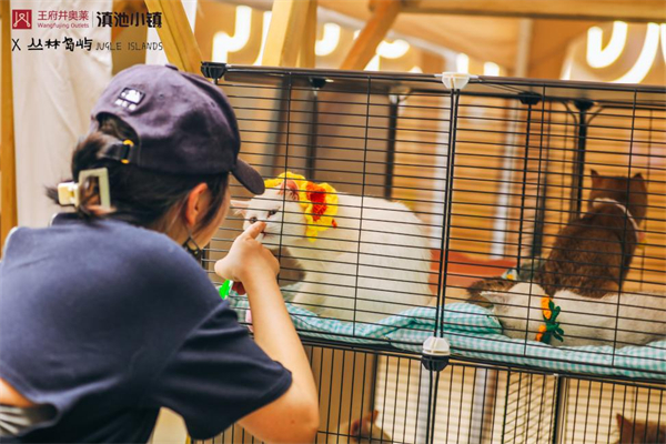 J9.COM·(中国集团)官方网站